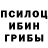 Галлюциногенные грибы Psilocybine cubensis Kirill Porshakov