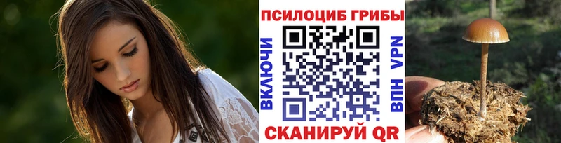 продажа наркотиков  Киреевск  Галлюциногенные грибы мухоморы 